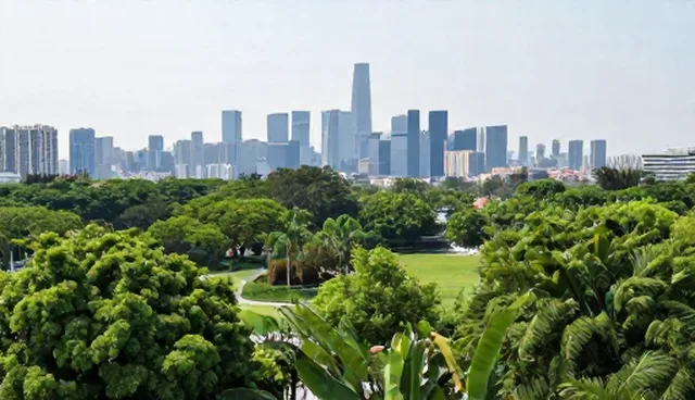 青岛建站过程中的技术优化环节分析